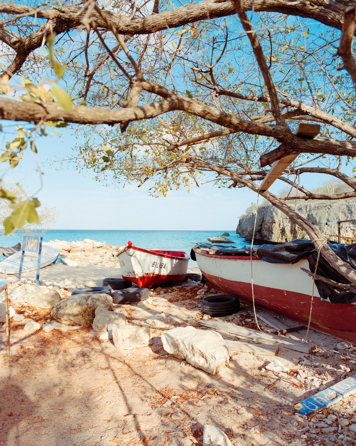 Medium-format film frame on Kodak Ektacolor Pro 800, shot in Curaçao