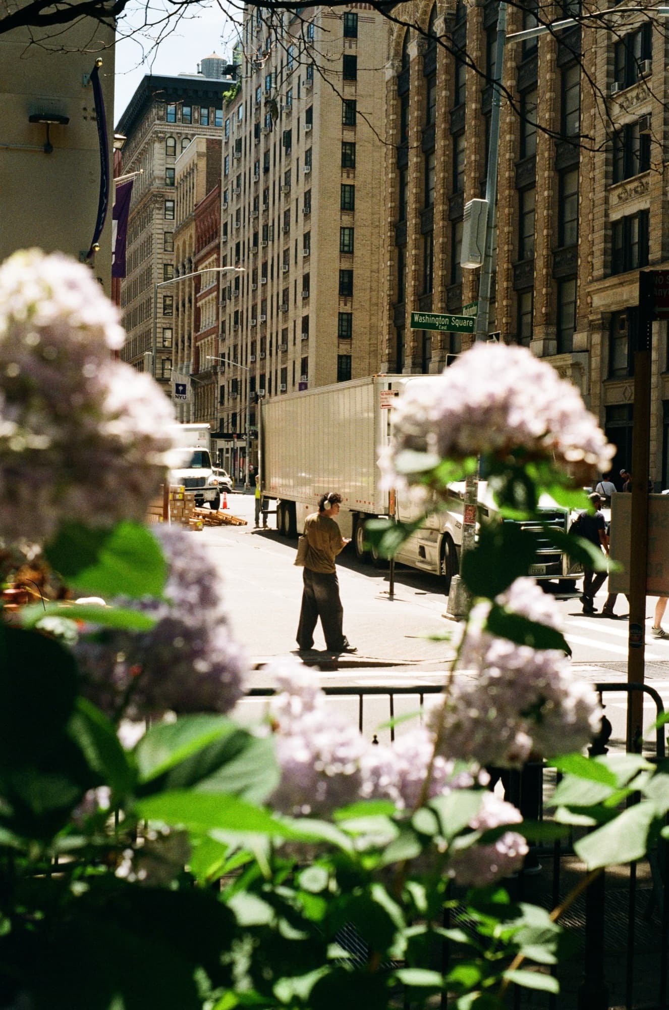 Film frame on Fujifilm 400 — a street crossing at Washington Square, New York, seen through lilacs