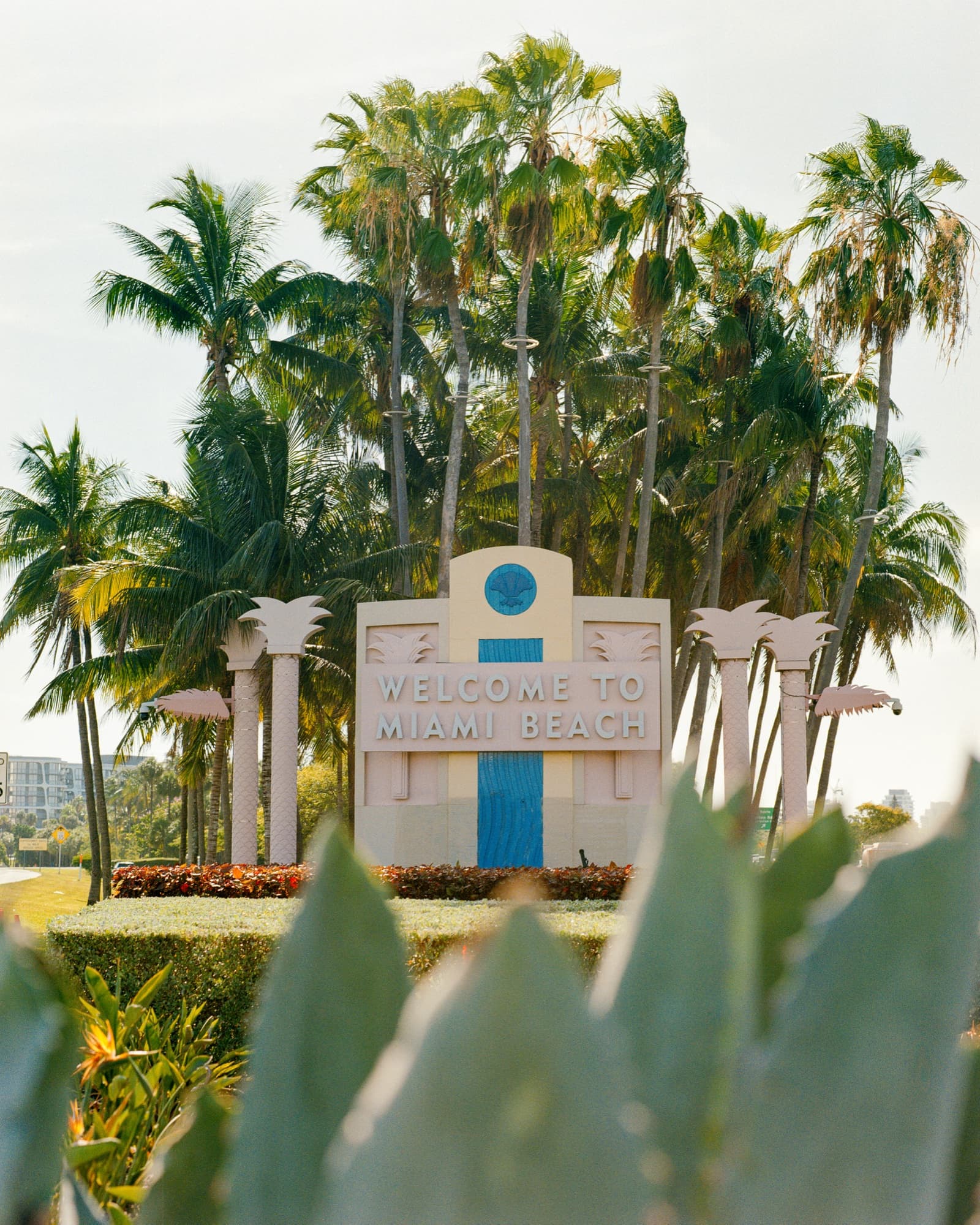 Film frame on Kodak Gold 200 — the Welcome to Miami Beach sign framed by palms