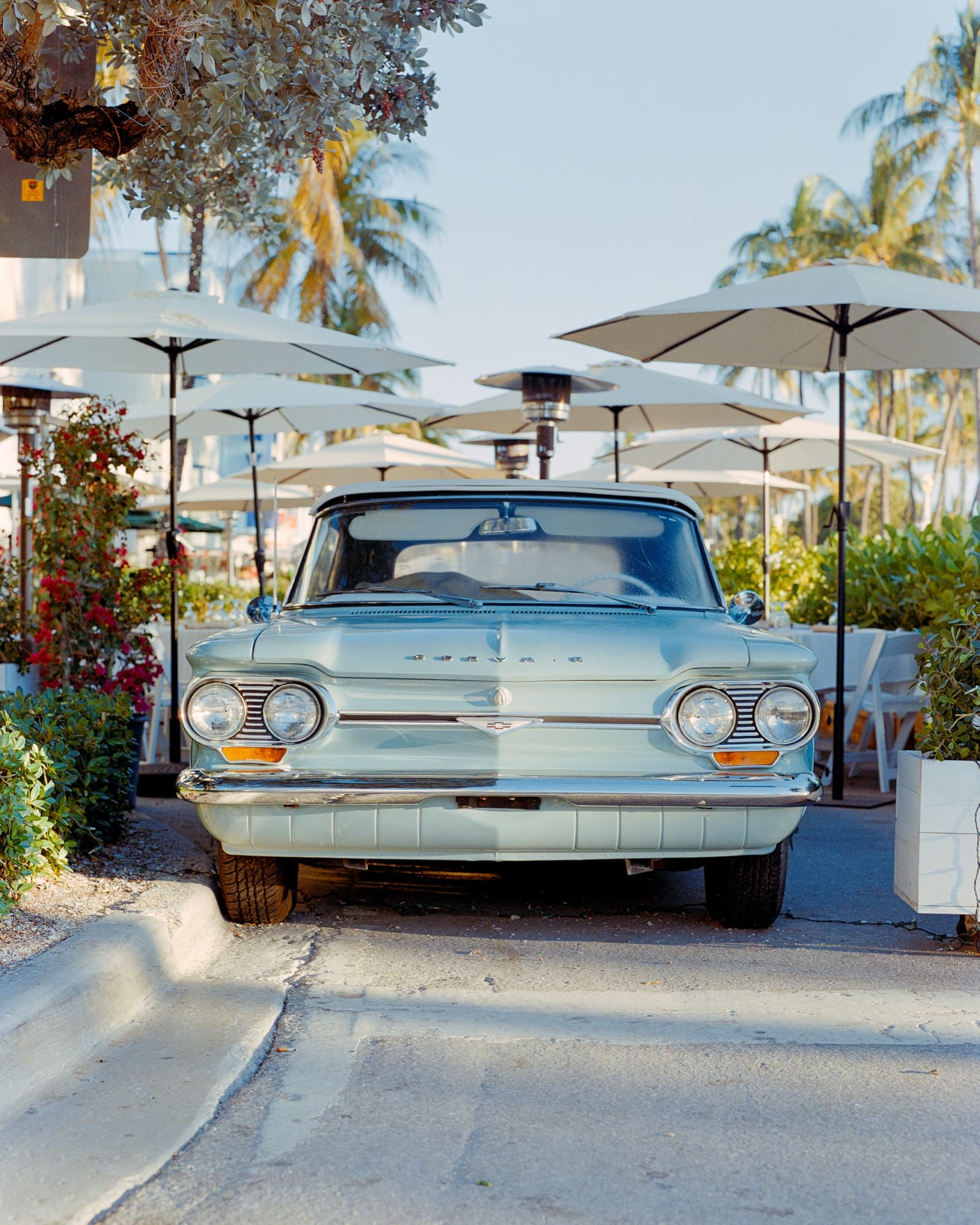 Film frame on Kodak Portra 800 — a pale blue Chevrolet Corvair parked between café umbrellas in Miami Beach